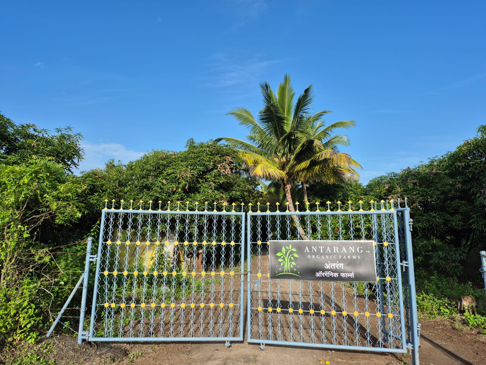 Antarang Farms Gate